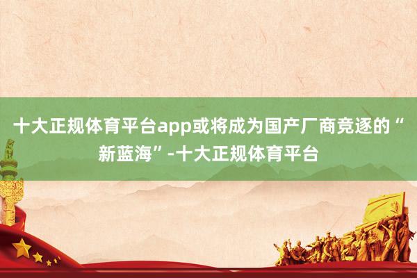 十大正规体育平台app或将成为国产厂商竞逐的“新蓝海”-十大正规体育平台