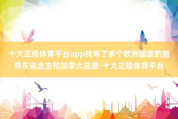 十大正规体育平台app找来了多个欧洲国度的指导东说念主和加拿大总理-十大正规体育平台
