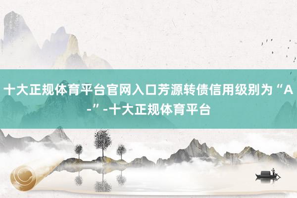 十大正规体育平台官网入口芳源转债信用级别为“A-”-十大正规体育平台