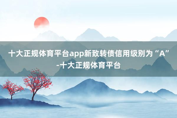 十大正规体育平台app新致转债信用级别为“A”-十大正规体育平台