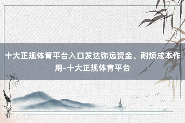十大正规体育平台入口发达弥远资金、耐烦成本作用-十大正规体育平台