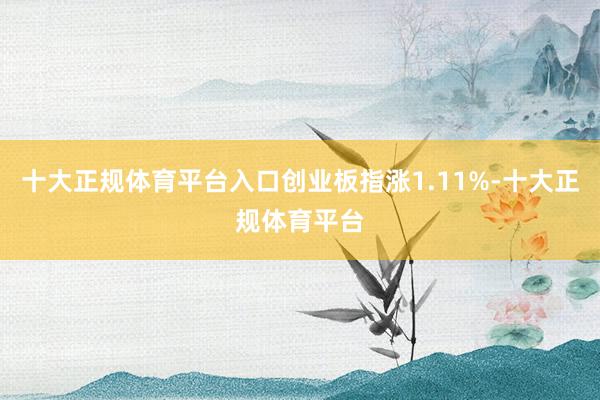 十大正规体育平台入口创业板指涨1.11%-十大正规体育平台