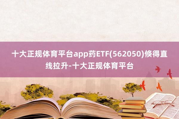 十大正规体育平台app药ETF(562050)倏得直线拉升-十大正规体育平台