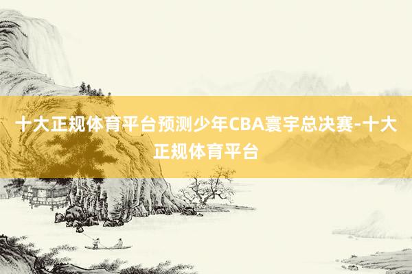 十大正规体育平台预测少年CBA寰宇总决赛-十大正规体育平台
