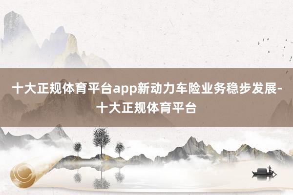十大正规体育平台app新动力车险业务稳步发展-十大正规体育平台