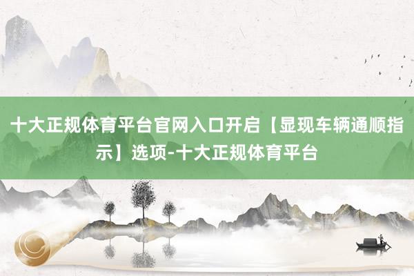 十大正规体育平台官网入口开启【显现车辆通顺指示】选项-十大正规体育平台
