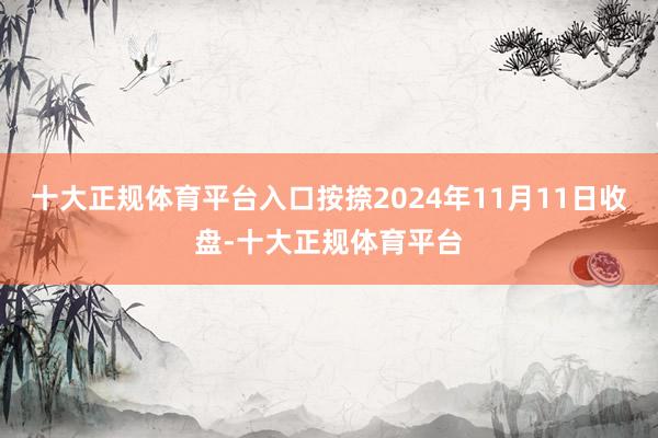 十大正规体育平台入口按捺2024年11月11日收盘-十大正规体育平台