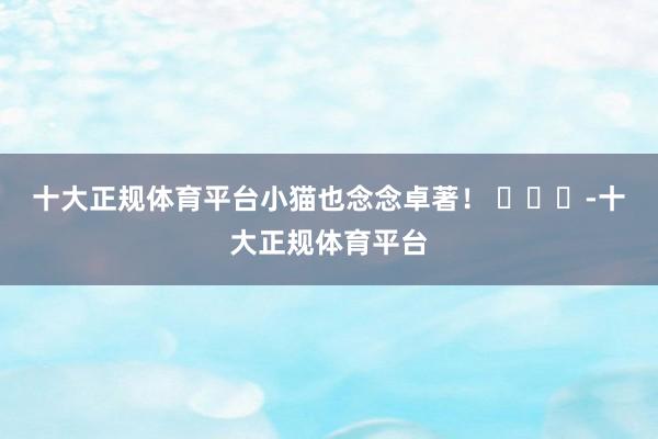 十大正规体育平台小猫也念念卓著！ ​​​-十大正规体育平台