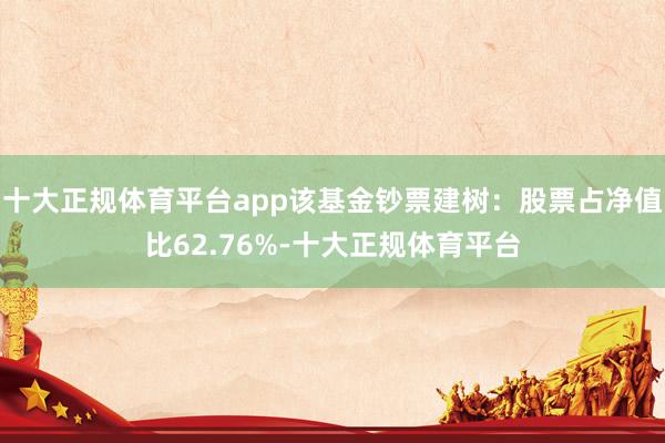 十大正规体育平台app该基金钞票建树：股票占净值比62.76%-十大正规体育平台