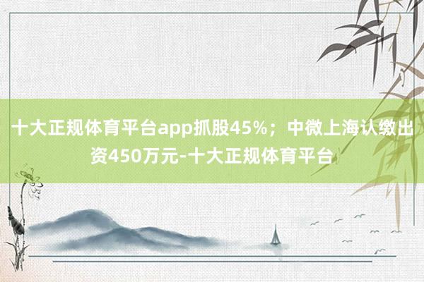 十大正规体育平台app抓股45%；中微上海认缴出资450万元-十大正规体育平台