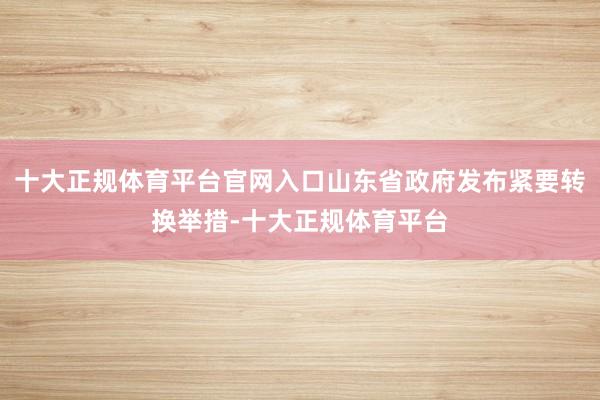 十大正规体育平台官网入口山东省政府发布紧要转换举措-十大正规体育平台