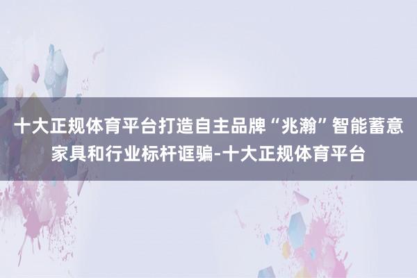 十大正规体育平台打造自主品牌“兆瀚”智能蓄意家具和行业标杆诓骗-十大正规体育平台