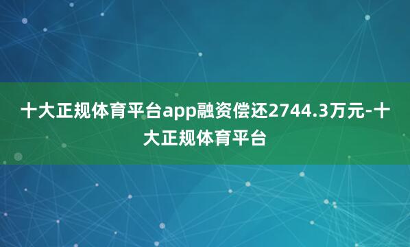 十大正规体育平台app融资偿还2744.3万元-十大正规体育平台