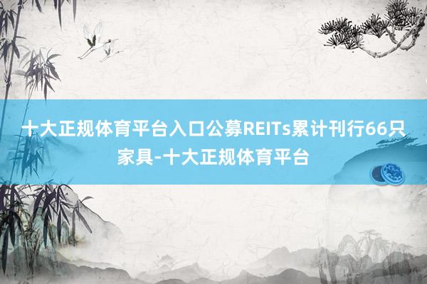 十大正规体育平台入口公募REITs累计刊行66只家具-十大正规体育平台