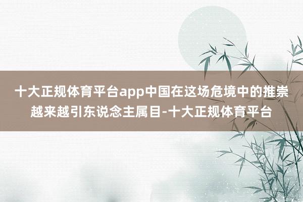 十大正规体育平台app中国在这场危境中的推崇越来越引东说念主属目-十大正规体育平台
